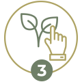 Stape-3